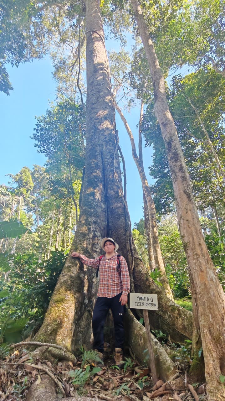 Segmentación de palmeras Ixiamas